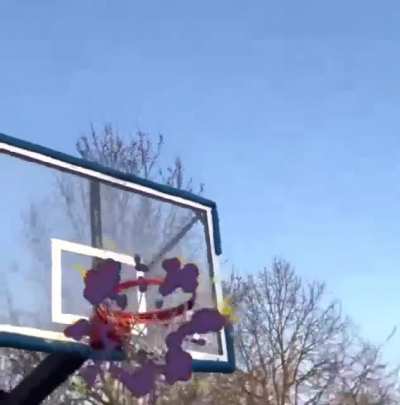 walter ballin