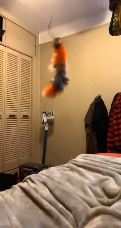 Last thing you see before you die