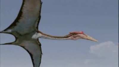 Reject porn, embrace pterosaur