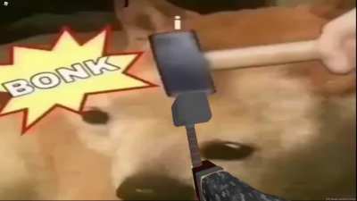 bonk