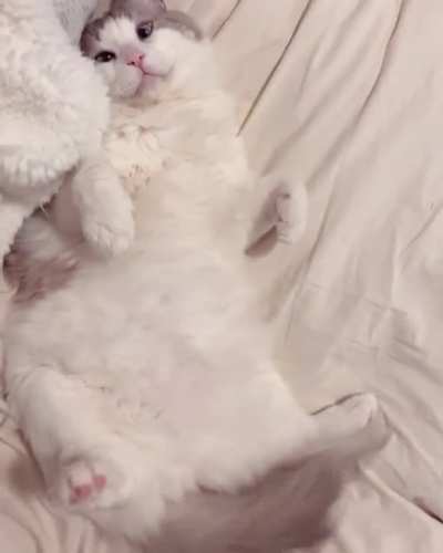 Curled feetsies and happy wags