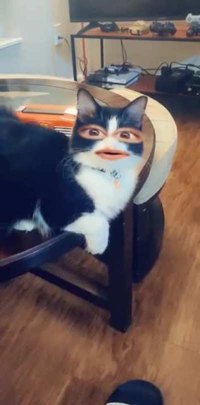 DO Snapchat filter counts?