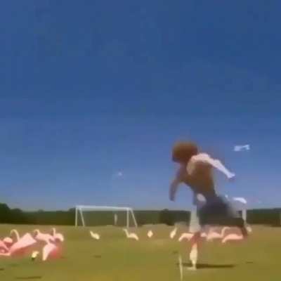 flairwars
