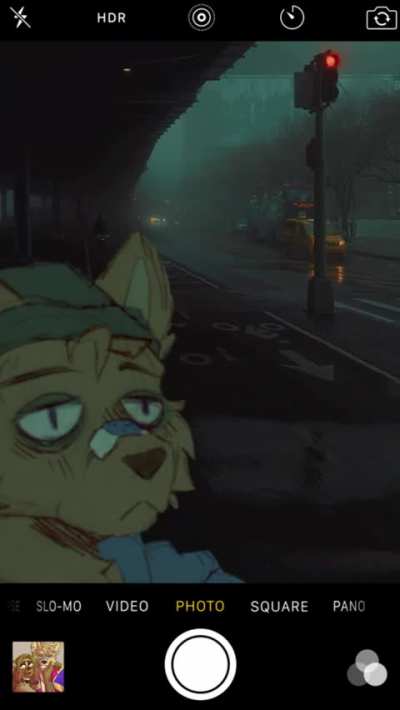 furry_irl