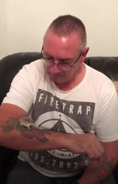 Poor hamster