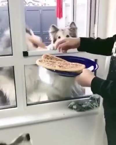 Ñam ñam ñam