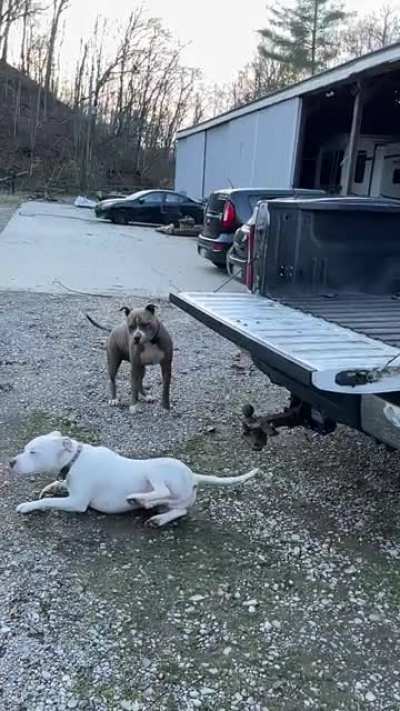 Epic Fail… but he’s a tough boy