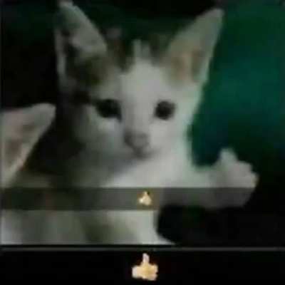Kgb de allahına sövülmeden gün geçirmişsindir