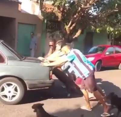 Olha a força do cachorro