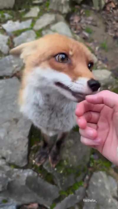Cuuute🥰