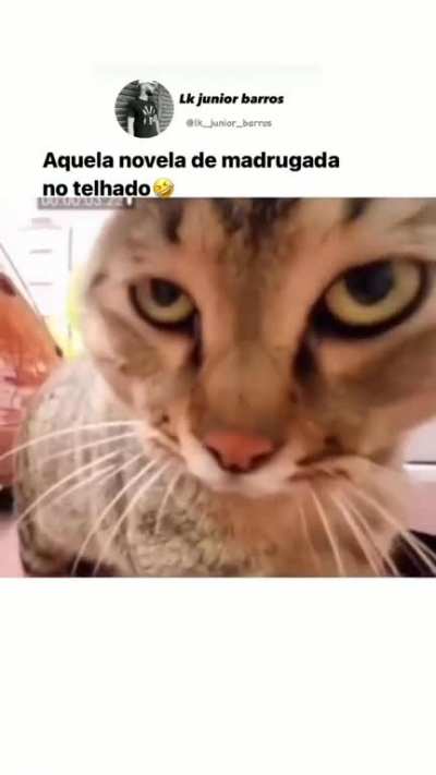 🤨🤨🤨🤨🤨🤨🤨🤨