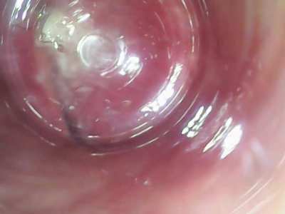 watching my own insides getting fucked always makes me so wet and here you can perfectly see how much juice i produced💦