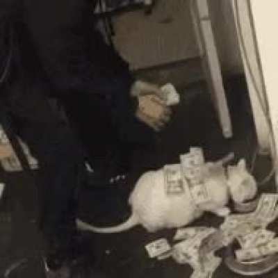 Chungus