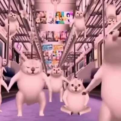 Issa mood