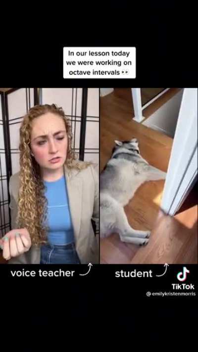 Voice teacher