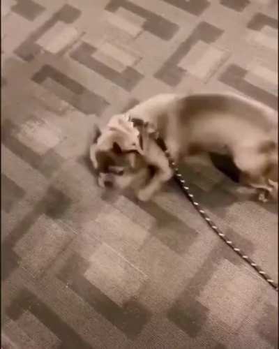 Maybe Maybe Maybe