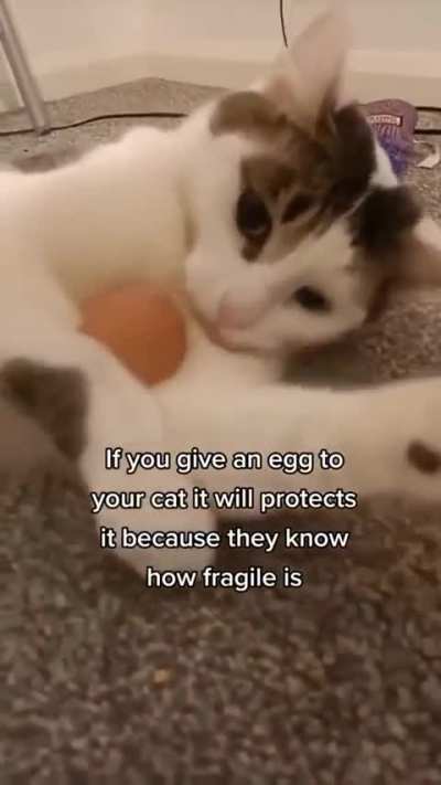 Wunk commits violence