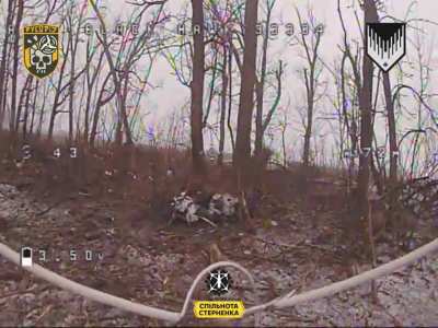 Drones from the 
