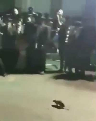 Kurd playing tag with his Jewish friends 🤯
