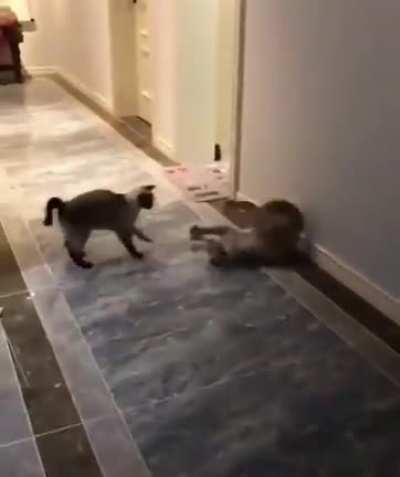 How it feels to play against hunters in the crucible.