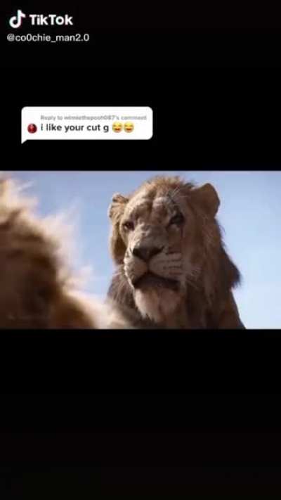 I like your cut G.