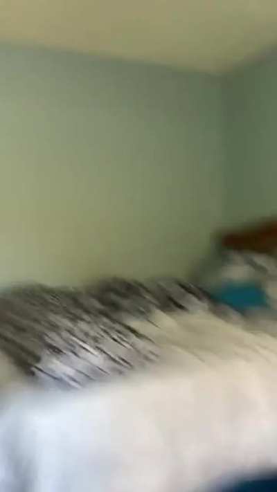 perfectly cut rat smack