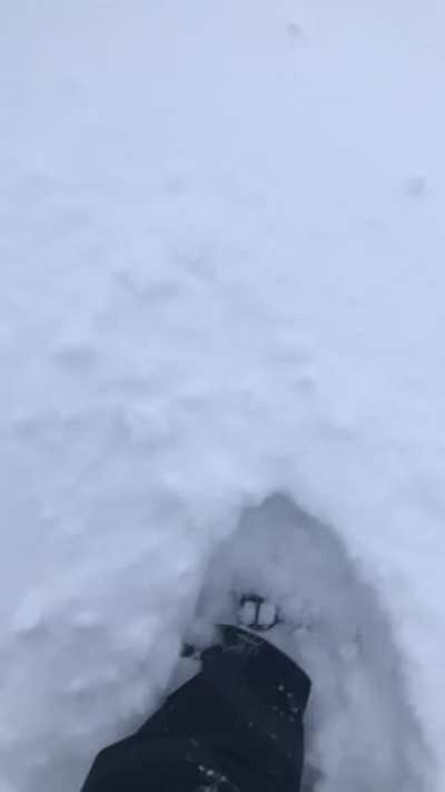 We out here enjoying the snow ❄️❄️