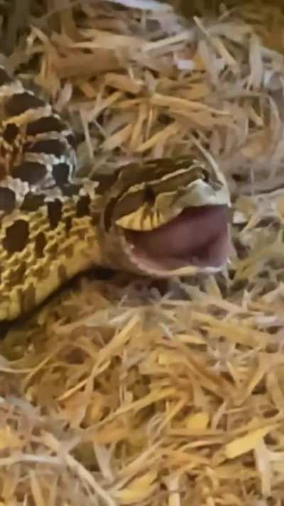Hungry boy