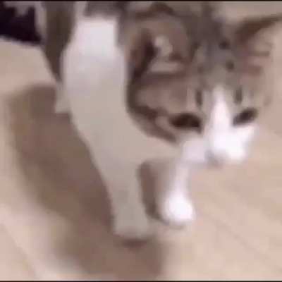 Go away Big Sad