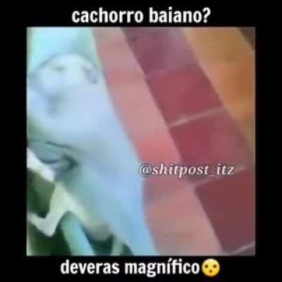 Onde eu compro?