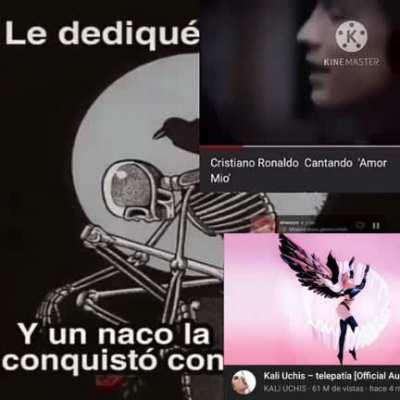 :'v