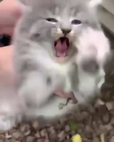 I guess he’s not happy