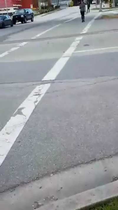 Unstable woman assaults strangers & kicks a dog on street