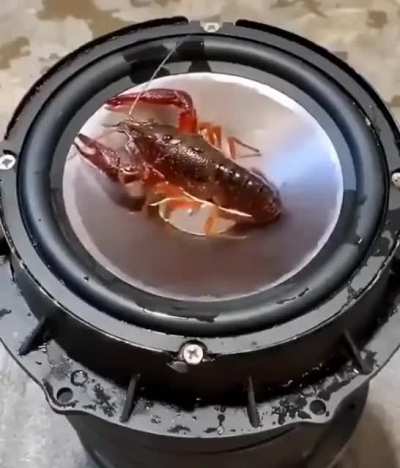 Time to dance