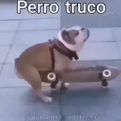 *dog fucking sound*