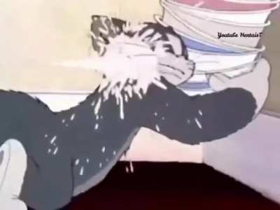 wtf