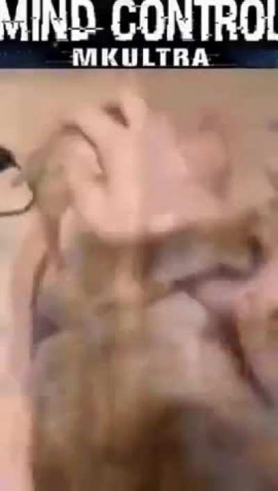 Lo robé de aquí 