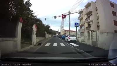 This cat knows how to cross a road