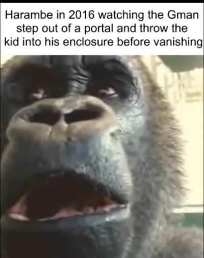 rule