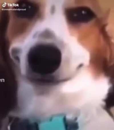 hehehe