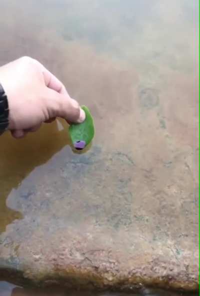 Thought it might belong here