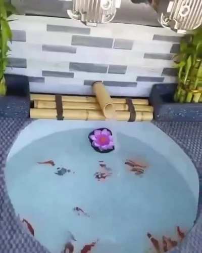 Ok, but why??