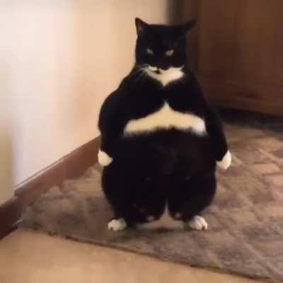 where is my cheese