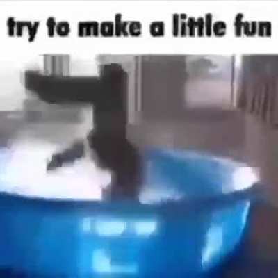 Banan