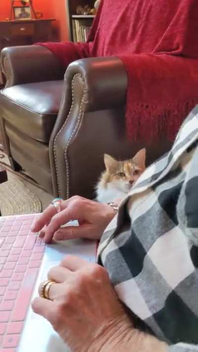 Those fuzzy paws