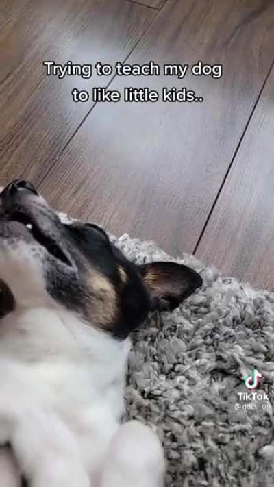 To teach a dog