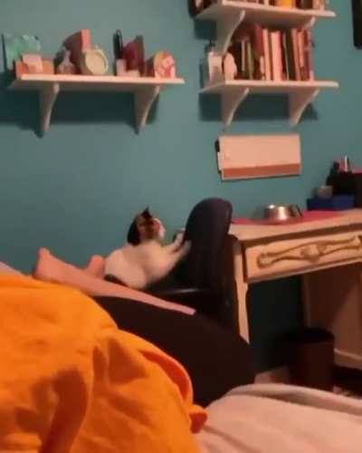 run>CAT: ERROR.EXE