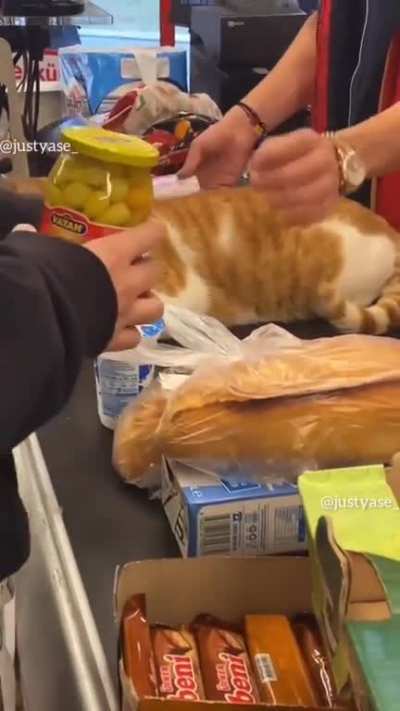 Cashier helper