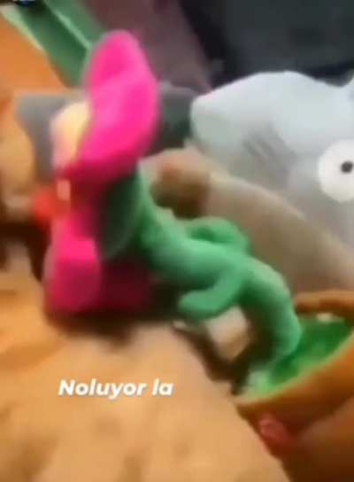 Tulum çalan karadenizli çiçek yerli ve milli