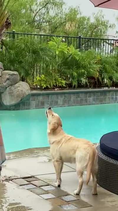 After 6 months, it finally rained here in California.